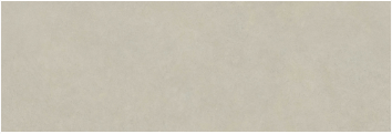 PORTINARI VERSATILE GR NATURAL PO PORCELLANATO 40X120 (1.44) P40.32
